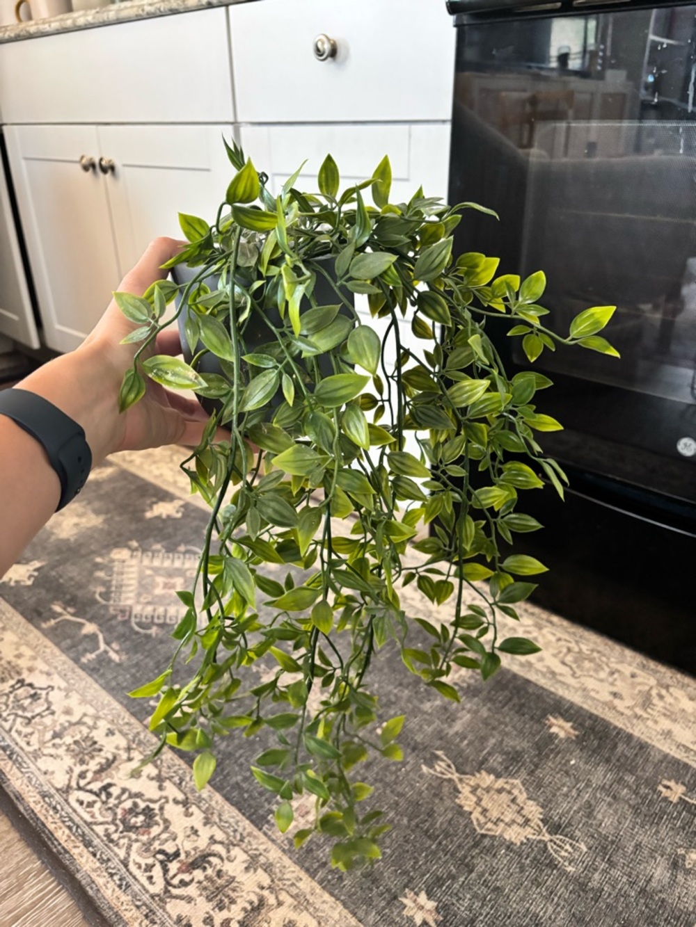 Artificial Vine Hanging Greenery | Set of 3 | Faux Vine Plant - Picture 5 of 6